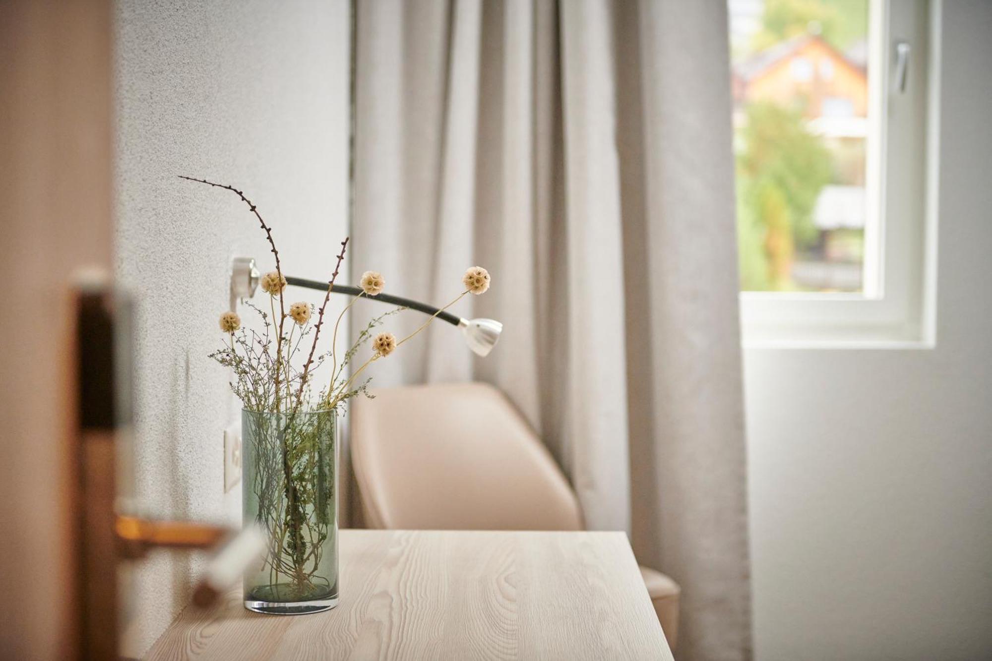 Hotel Balga Natur- Und Bikehotel Balgach Екстер'єр фото