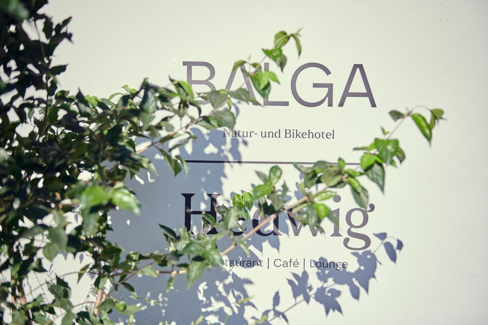 Hotel Balga Natur- Und Bikehotel Balgach Екстер'єр фото